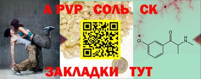 гашик Будённовск