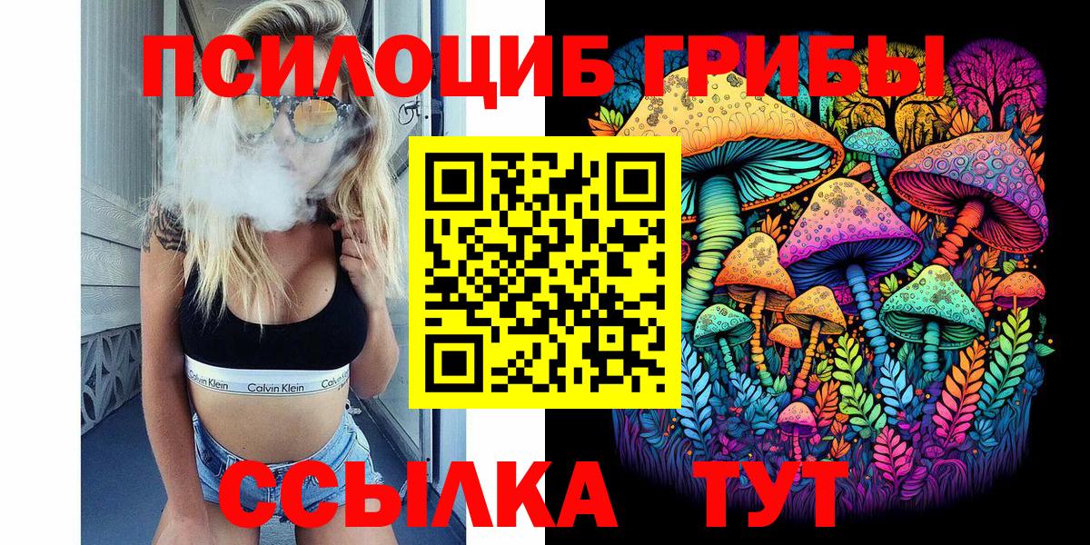 Псилоцибиновые грибы Psilocybine cubensis  Вход с VPN  Одинцово 
