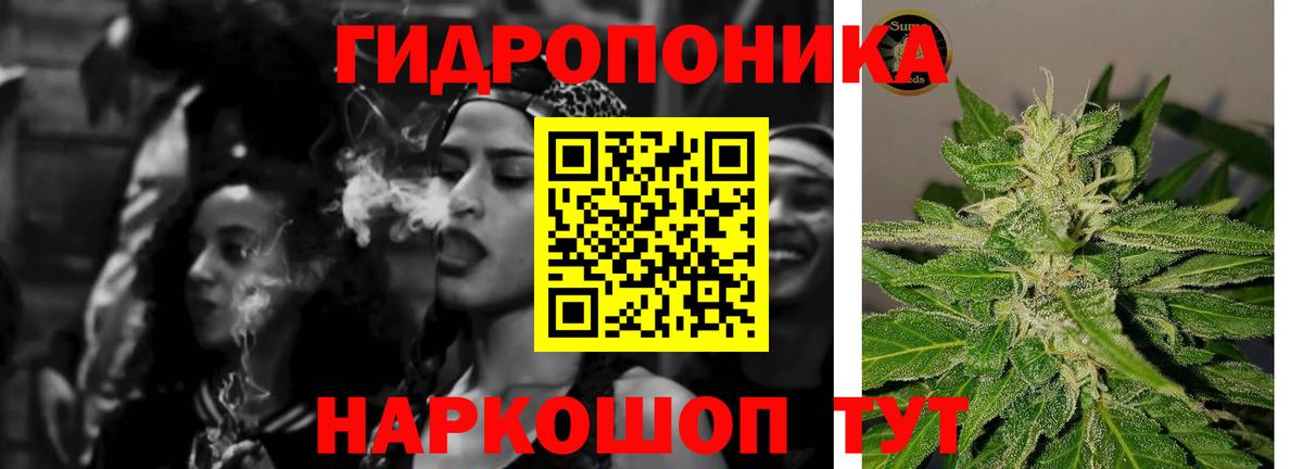 Марихуана конопля  Вход с VPN  Бошки марихуана сатива  МАРИХУАНА Ganja  Бошки марихуана семена  Одинцово 